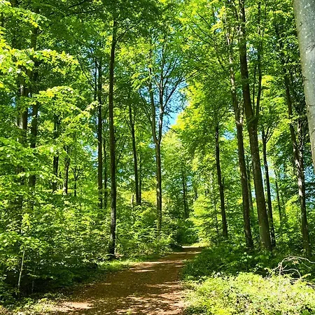 Apartament Stylish Vacation - Close To Sea And Nature Hejls