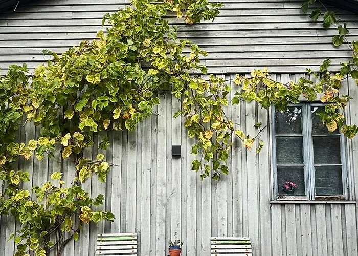 Apartman Stylish Vacation - Close To Sea And Nature *