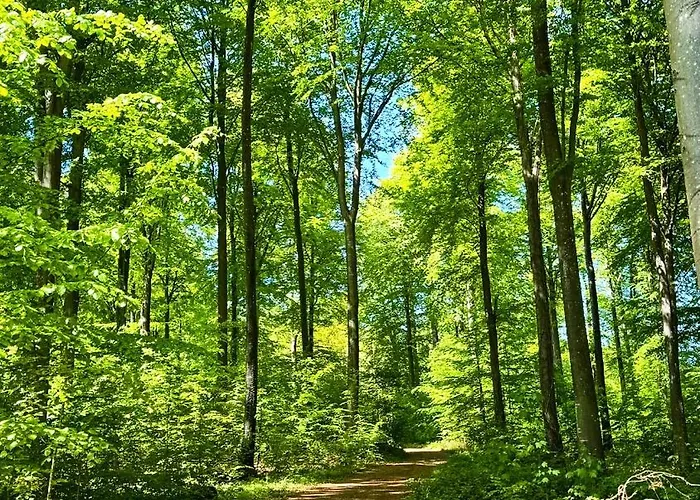 Appartement Stylish Vacation - Close To Sea And Nature Hejls